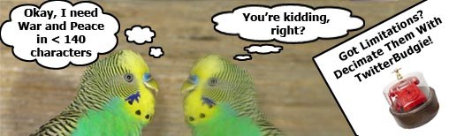 What is TwitterBudgie?