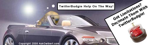 Why Use TwitterBudgie?